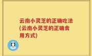 云南小灵芝的正确吃法(云南小灵芝的正确食用方式)