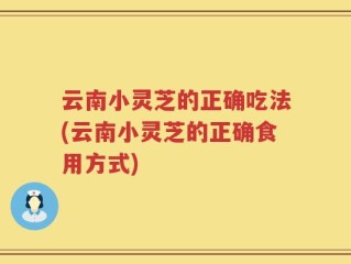 云南小灵芝的正确吃法(云南小灵芝的正确食用方式)