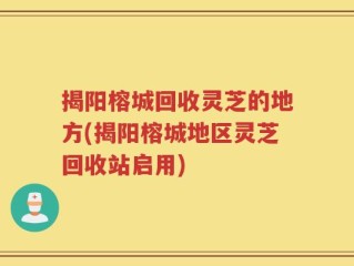 揭阳榕城回收灵芝的地方(揭阳榕城地区灵芝回收站启用)