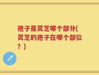 孢子是灵芝哪个部分(灵芝的孢子在哪个部位？)