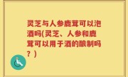 灵芝与人参鹿茸可以泡酒吗(灵芝、人参和鹿茸可以用于酒的酿制吗？)