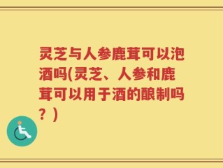 灵芝与人参鹿茸可以泡酒吗(灵芝、人参和鹿茸可以用于酒的酿制吗？)