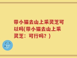 带小猫去山上采灵芝可以吗(带小猫去山上采灵芝：可行吗？)