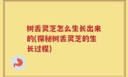 树舌灵芝怎么生长出来的(探秘树舌灵芝的生长过程)