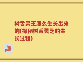树舌灵芝怎么生长出来的(探秘树舌灵芝的生长过程)