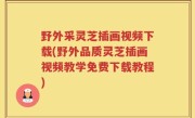 野外采灵芝插画视频下载(野外品质灵芝插画视频教学免费下载教程)