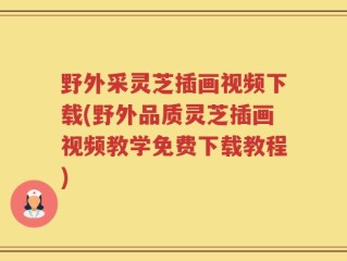 野外采灵芝插画视频下载(野外品质灵芝插画视频教学免费下载教程)