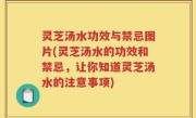 灵芝汤水功效与禁忌图片(灵芝汤水的功效和禁忌，让你知道灵芝汤水的注意事项)