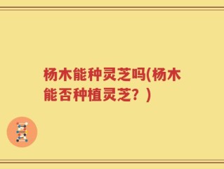杨木能种灵芝吗(杨木能否种植灵芝？)