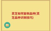 灵芝如何鉴别品种(灵芝品种识别技巧)