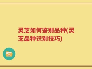 灵芝如何鉴别品种(灵芝品种识别技巧)