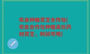 农业种植灵芝合作社(农业合作社种植高价药材灵芝，利润可观)