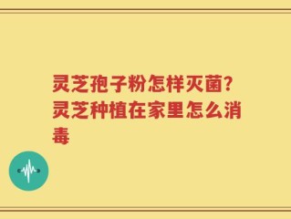 灵芝孢子粉怎样灭菌？灵芝种植在家里怎么消毒