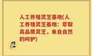 人工养殖灵芝基地(人工养殖灵芝基地：萃取高品质灵芝，来自自然的呵护)