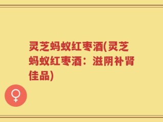 灵芝蚂蚁红枣酒(灵芝蚂蚁红枣酒：滋阴补肾佳品)