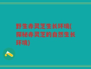 野生赤灵芝生长环境(探秘赤灵芝的自然生长环境)