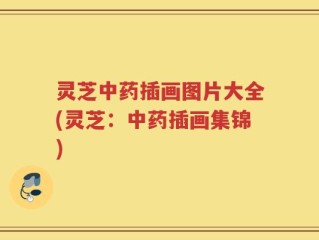 灵芝中药插画图片大全(灵芝：中药插画集锦)