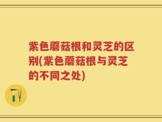 紫色蘑菇根和灵芝的区别(紫色蘑菇根与灵芝的不同之处)