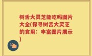 树舌大灵芝能吃吗图片大全(探寻树舌大灵芝的食用：丰富图片展示)