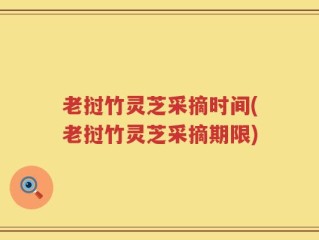 老挝竹灵芝采摘时间(老挝竹灵芝采摘期限)