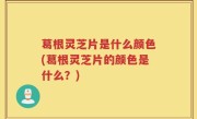 葛根灵芝片是什么颜色(葛根灵芝片的颜色是什么？)