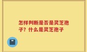 怎样判断是否是灵芝孢子？什么是灵芝孢子