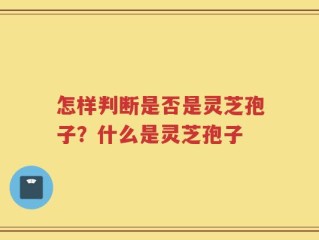 怎样判断是否是灵芝孢子？什么是灵芝孢子