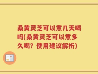 桑黄灵芝可以煮几天喝吗(桑黄灵芝可以煮多久喝？使用建议解析)