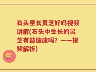 石头里长灵芝好吗视频讲解(石头中生长的灵芝有益健康吗？——视频解析)