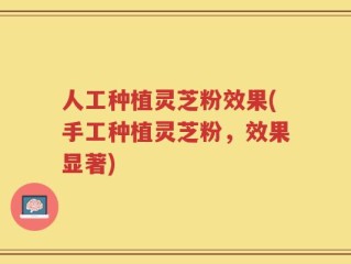 人工种植灵芝粉效果(手工种植灵芝粉，效果显著)
