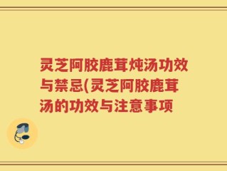 灵芝阿胶鹿茸炖汤功效与禁忌(灵芝阿胶鹿茸汤的功效与注意事项