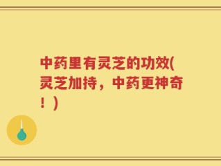 中药里有灵芝的功效(灵芝加持，中药更神奇！)