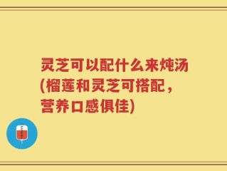 灵芝可以配什么来炖汤(榴莲和灵芝可搭配，营养口感俱佳)