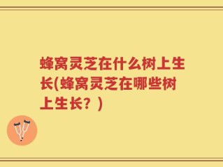 蜂窝灵芝在什么树上生长(蜂窝灵芝在哪些树上生长？)