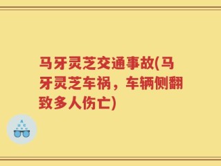 马牙灵芝交通事故(马牙灵芝车祸，车辆侧翻致多人伤亡)