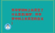 怀孕梦到树上长灵芝了什么意思(解梦：怀孕梦中树上长灵芝的含义)