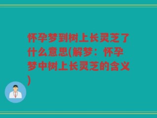怀孕梦到树上长灵芝了什么意思(解梦：怀孕梦中树上长灵芝的含义)
