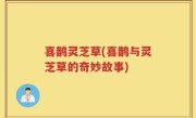 喜鹊灵芝草(喜鹊与灵芝草的奇妙故事)