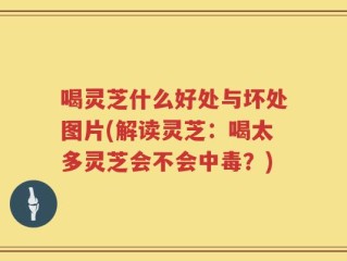 喝灵芝什么好处与坏处图片(解读灵芝：喝太多灵芝会不会中毒？)