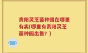 贵阳灵芝菌种园在哪里有卖(哪里有贵阳灵芝菌种园出售？)