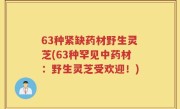 63种紧缺药材野生灵芝(63种罕见中药材：野生灵芝受欢迎！)