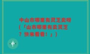 中山市哪里有灵芝卖呀(「山市哪里有卖灵芝？快来看看！」)
