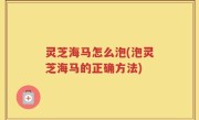 灵芝海马怎么泡(泡灵芝海马的正确方法)