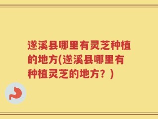 遂溪县哪里有灵芝种植的地方(遂溪县哪里有种植灵芝的地方？)