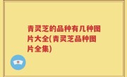 青灵芝的品种有几种图片大全(青灵芝品种图片全集)