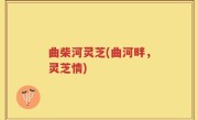 曲柴河灵芝(曲河畔,灵芝情)