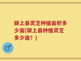 颍上县灵芝种植面积多少亩(颍上县种植灵芝多少亩？)