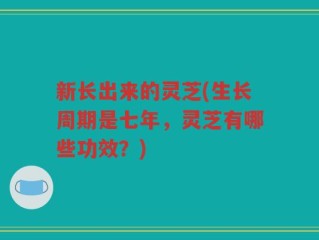 新长出来的灵芝(生长周期是七年，灵芝有哪些功效？)