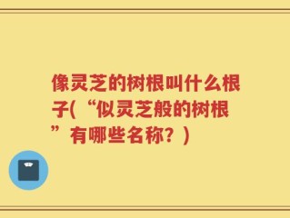 像灵芝的树根叫什么根子(“似灵芝般的树根”有哪些名称？)