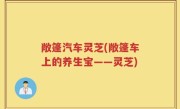 敞篷汽车灵芝(敞篷车上的养生宝——灵芝)